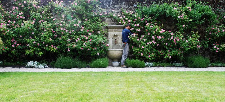 Sitel Entretien de jardin