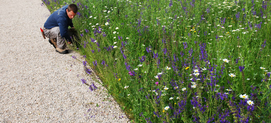 Sitel Entretien de jardin