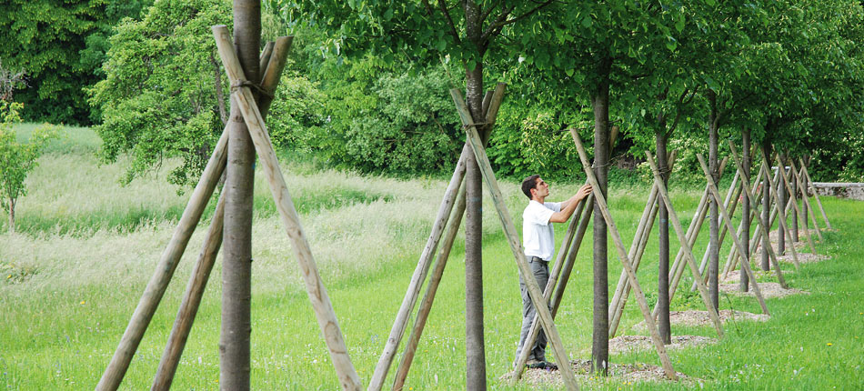 Sitel Entretien de jardin