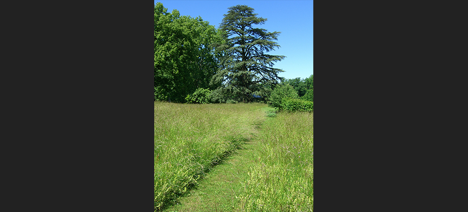 Sitel Entretien de jardin