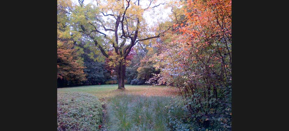 Sitel Entretien de jardin